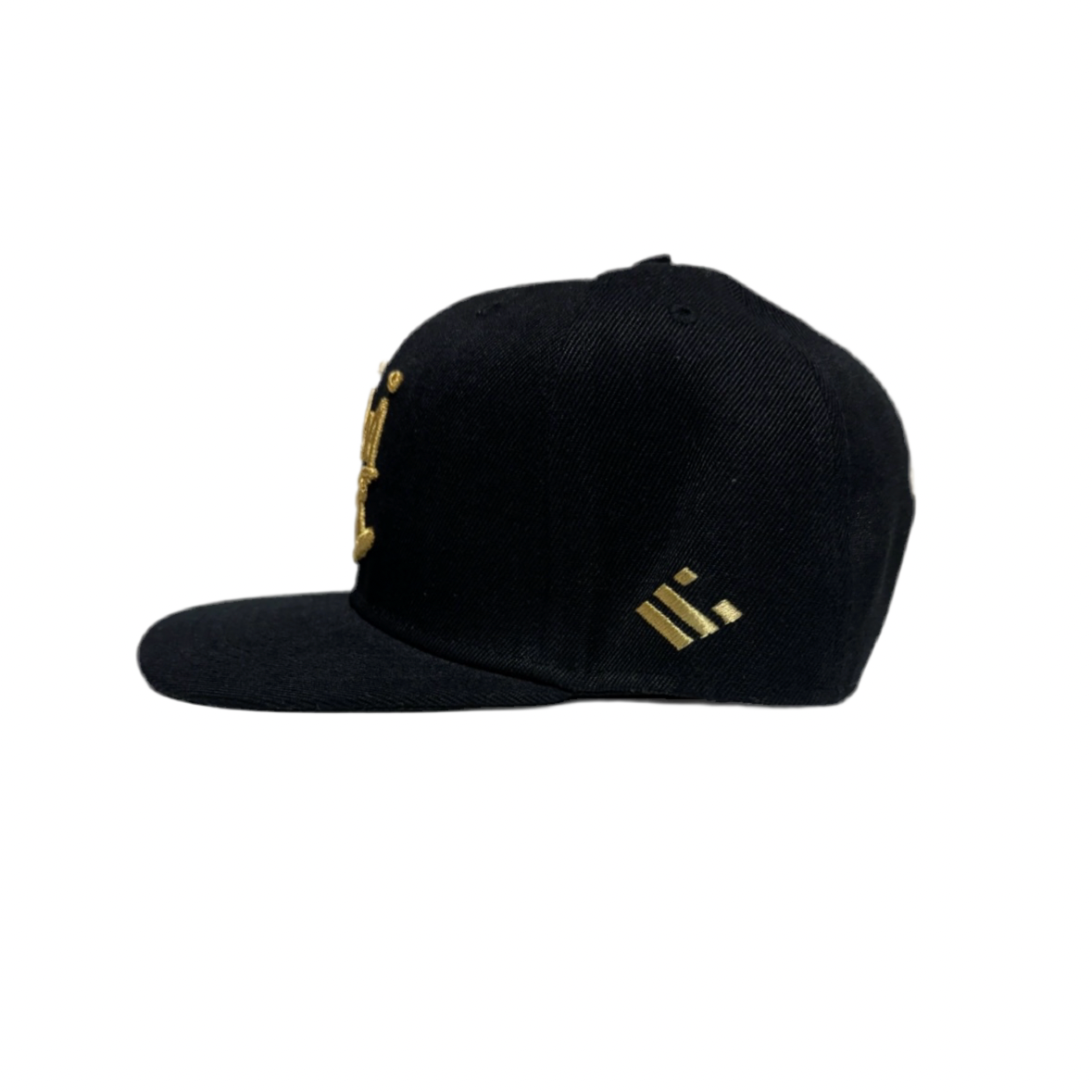 RF Crown Logo Snap Back